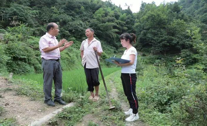 岑巩县住建局新项目推动城市更新，提升民生福祉