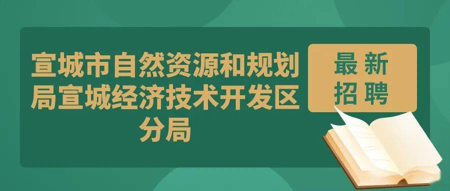 闵行区自然资源和规划局最新招聘启事概览