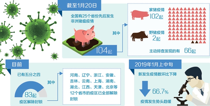 猪瘟疫全球最新动态，防控形势及应对策略