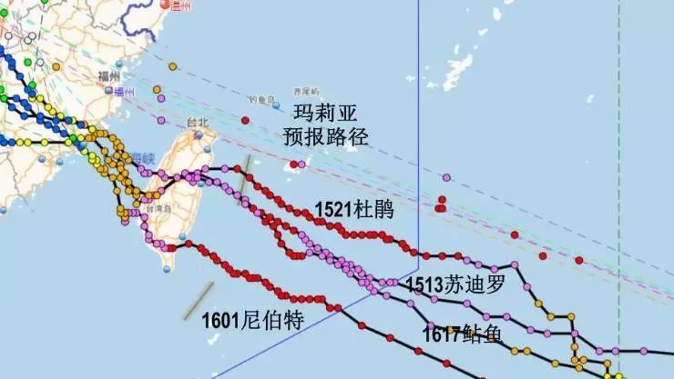 温州台风最新消息与路径分析简报