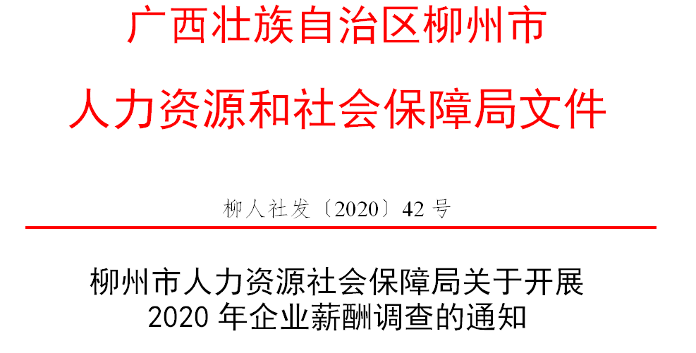 柳北区人力资源和社会保障局人事任命，构建高效活力公共服务体系