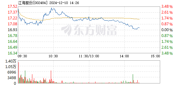 2024年12月10日 第13页