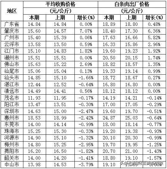 今日最新猪价分析与展望