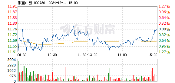 银宝山新最新动态全面解读