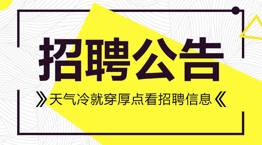 廊坊招聘网最新招聘动态深度解读与分析