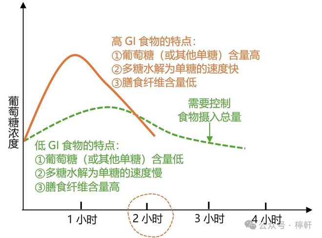 最新血糖标准及其影响因素概述