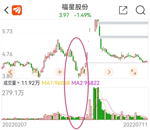 福星股份最新消息全面解读与分析